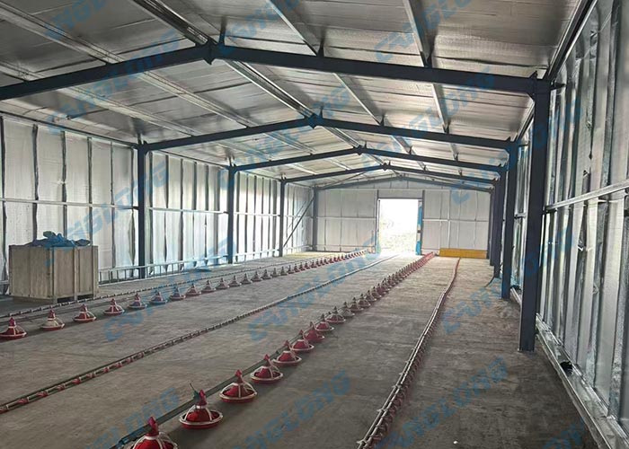 Albania 50x10 meter poultry house
