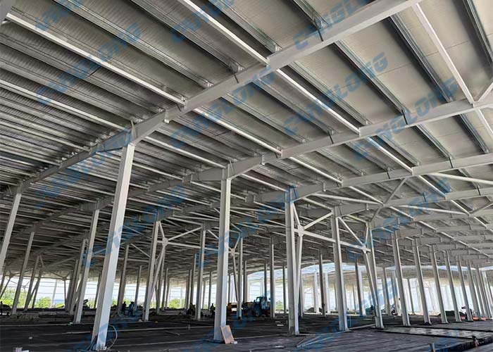 Azerbaijan beer processing plant