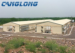 Steel Structure Chicken House